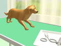 Spil Paw Care