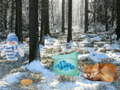Spil Winter Wonderland Forest Adventure