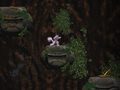 Spil Cave Descent