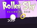 Spil Roller Sky Balance Ball