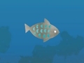 Spil Fish Companions