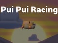 Spil Pui Pui Racing