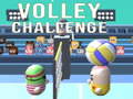 Spil Volley Challenge