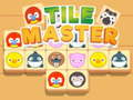 Spil Tile Master Match