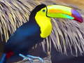 Spil Toucan Bird Jigsaw