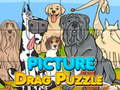 Spil Picture Drag Puzzle