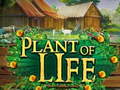 Spil Plant of Life