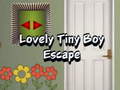Spil Lovely Tiny Boy Escape