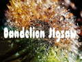 Spil Dandelion Jigsaw
