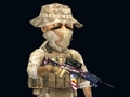 Spil Rush Team