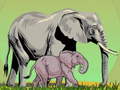 Spil Wild Animals and Their Babies
