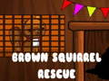 Spil Brown Squirrel Rescue