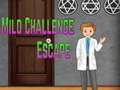 Spil Amgel Mild Challenge Escape