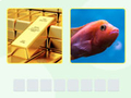 Spil Picword