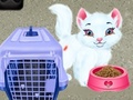 Spil Baby Taylor Pet Care