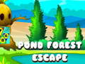 Spil Pond Forest Escape
