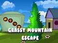 Spil Grassy Mountain Escape
