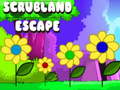 Spil Scrubland Escape