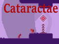 Spil Cataractae