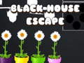 Spil Black House Escape
