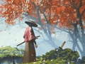 Spil Samurai Reflexion