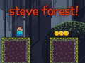 Spil Steve Forest