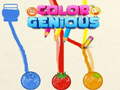 Spil Color Genious