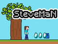 Spil Steveman