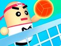 Spil 3D Amazing VolleyBall