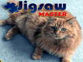 Spil Jigsaw Master 