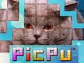 Spil PicPu Cat 