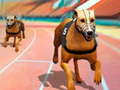 Spil Dogs3D Races