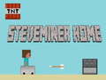 Spil Steveminer Home