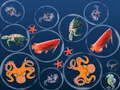 Spil Ocean Fish Merge