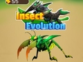 Spil Insect Evolution