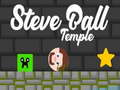 Spil Steve Ball Temple