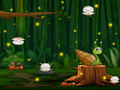 Spil Snail Run