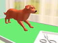 Spil Pet Care