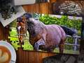 Spil Jigsaw Puzzle Horses Edition