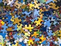 Spil Varieties of Puzzles Pieces 