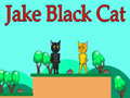 Spil Jake Black Cat