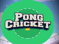 Spil Pong Cricket