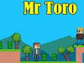 Spil Mr Toro