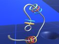 Spil Make Rings Off 