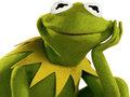 Spil Coloring Book For Kermit the Frog 
