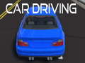 Spil Car Driving
