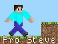 Spil Pro Steve