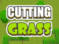 Spil Cutting Grass