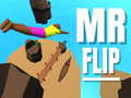 Spil Mr Flip