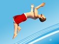 Spil Flip Divers